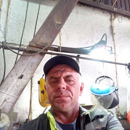 , 51, 