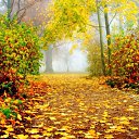 ���� ����, ����� - ��������� 22 �������� 2025 � ������ ������ ��������