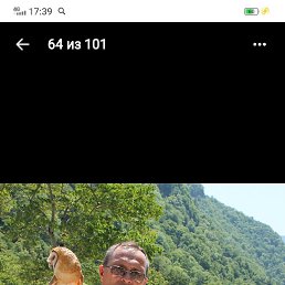 , 51, 