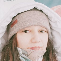 ���� �������, �����-���������, 41 ��� - ��������� 28 ����� 2026