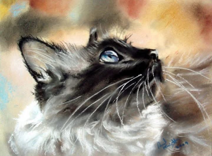 :)   Paul Knight.() - 2