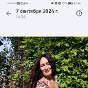 ���� ����, ������������, 56 ��� - ��������� 20 �������� 2024 � ������ ���� ����������