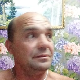 �������, ���������, 41 ���