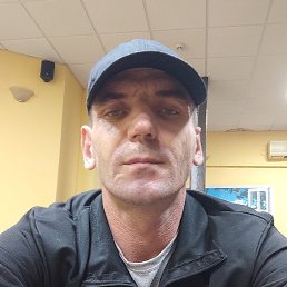 Sasa, �������, 40 ���