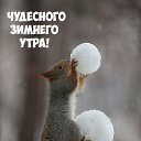 ���� ���������, ������, 43 ���� - ��������� 6 ������ 2024 � ������ ���� ����������