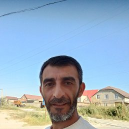 �����, �������, 47 ���