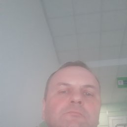 ���� �������, ����-�����������, 53 ���� - ��������� 11 ������� 2024