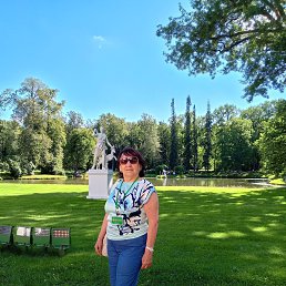 , 65, 