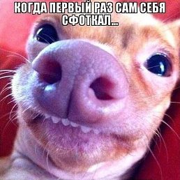 �������, ������, 44 ����