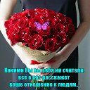 ���� �������, ���� - ��������� 1 ��� 2026 � ������ ������ ��������