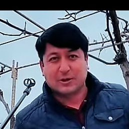 ������, ������, 20 ���