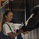 ���� �������, �����, 28 ��� - ��������� 11 ������ 2025 � ������ ���� ����������