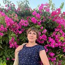 ���� ���������, �����, 40 ��� - ��������� 25 ������� 2026 � ������ ���� ����������