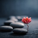 ���� ����..., �����, 50 ��� - ��������� 28 ������ 2026 � ������ ���� ����������
