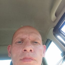, 41 , 