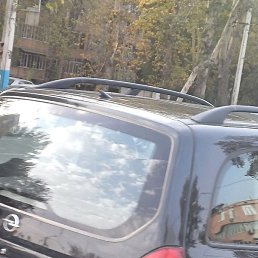 Suhrob, �������, 41 ���