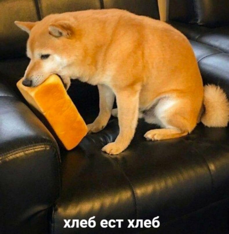    - 26  2024  16:19
