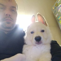 ���� �����, ������������, 41 ��� - ��������� 22 ������ 2026