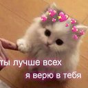 ���� ����, �����-���������, 48 ��� - ��������� 10 ����� 2026 � ������ ������ ��������