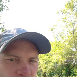 , 41, 