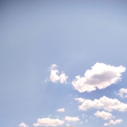 �����, ������, 40 ���