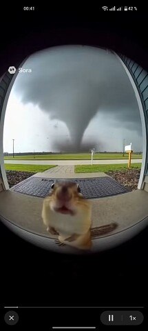 ���� ˸��, ���������, 23 ���� - ��������� 9 ���� 2026