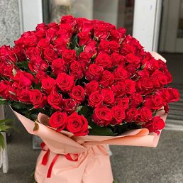  Bella, , 28  -  4  2025