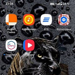 ����, ������, 41 ���
