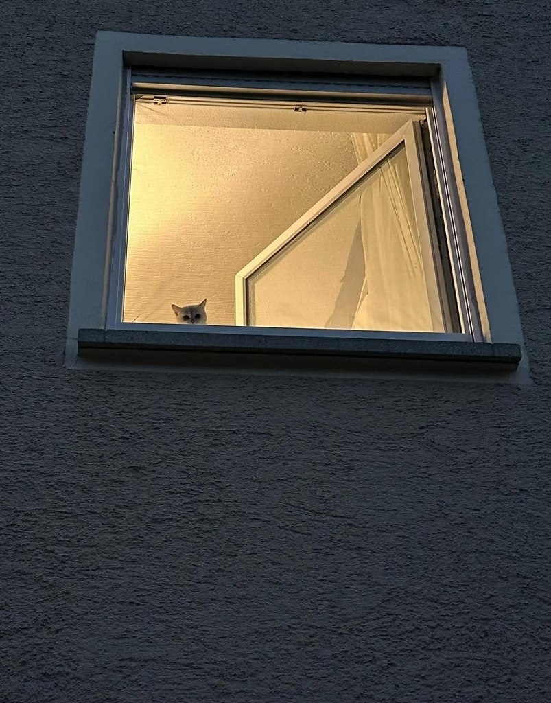 ��� ���� � ����� �� �� - 11 ������� 2025 � 18:33 - 2