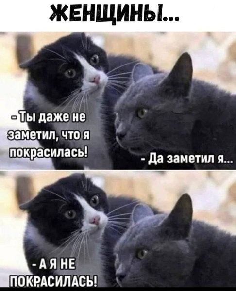  - 28  2025  19:51