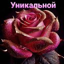  Walera,  -  16  2024    