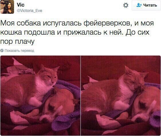    - 26  2023  20:31