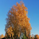 ���� ������, ���������� - ��������� 16 ������ 2024 � ������ ������ ��������