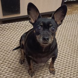 ���� ������, ���������, 56 ��� - ��������� 10 ����� 2024