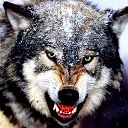 ���� ����������, �����-�������, 41 ��� - ��������� 19 ������� 2025 � ������ ���� ����������