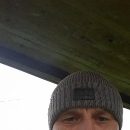 , 43 , 