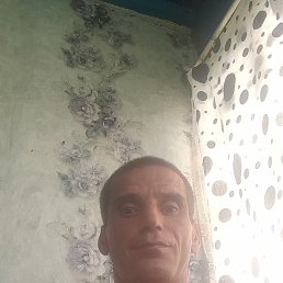 , 36, 