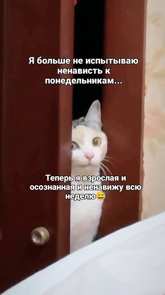     )