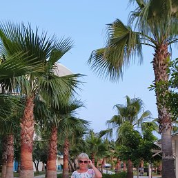 , 52, 
