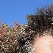 �����, 44 ����, ������