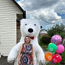���� �����, ������, 43 ���� - ��������� 15 ������ 2026 � ������ ���� ����������