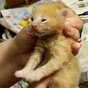 ���� Vladimir, ������, 68 ��� - ��������� 26 ������� 2023 � ������ ���� ������� ������ - ������!�