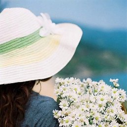 �����, �����������, 54 ����