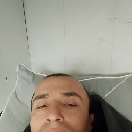 ������, 44 ����, ���������