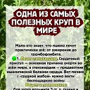 18 ���� 2026 �� ������� ���� ����������