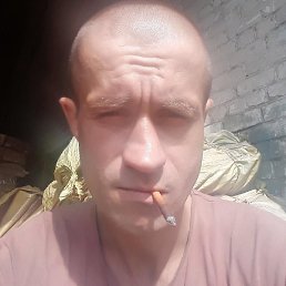 ������, ������, 41 ���