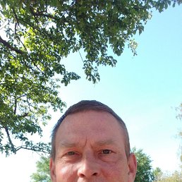 , 51, 