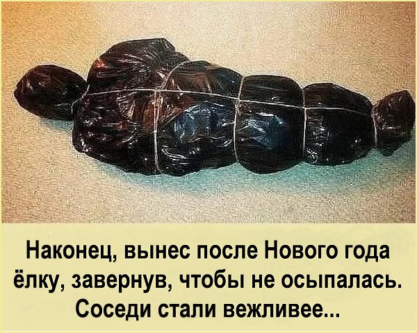 ������ �������� - 2 ������� 2025 � 11:43