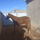 ���� �����, ��������, 51 ��� - ��������� 30 ������� 2023 � ������ ���� ����������