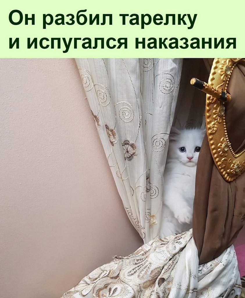   ?